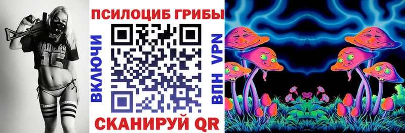 Галлюциногенные грибы Psilocybine cubensis  наркота  Губкин 